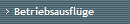 Betriebsausfl�ge